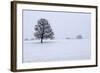 Snowy Landscape with Trees, Broadwell, Gloucestershire, Cotswolds, England, United Kingdom, Europe-Stuart Black-Framed Photographic Print