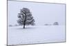 Snowy Landscape with Trees, Broadwell, Gloucestershire, Cotswolds, England, United Kingdom, Europe-Stuart Black-Mounted Photographic Print