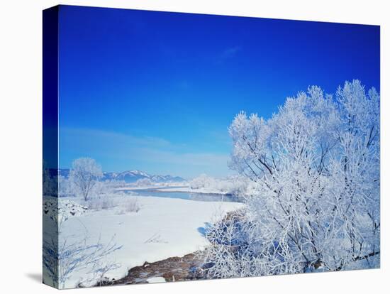 Snowy Landscape-WizData-Stretched Canvas