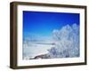 Snowy Landscape-WizData-Framed Photographic Print