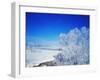 Snowy Landscape-WizData-Framed Photographic Print