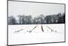 Snowy landscape-Angela Marsh-Mounted Photographic Print