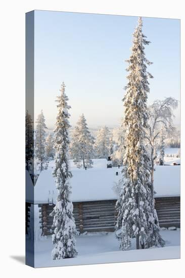 Snowy Log Cabin between Trees-Risto0-Stretched Canvas