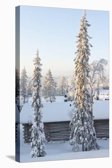 Snowy Log Cabin between Trees-Risto0-Stretched Canvas