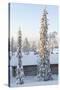 Snowy Log Cabin between Trees-Risto0-Stretched Canvas