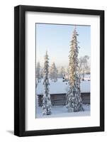 Snowy Log Cabin between Trees-Risto0-Framed Photographic Print