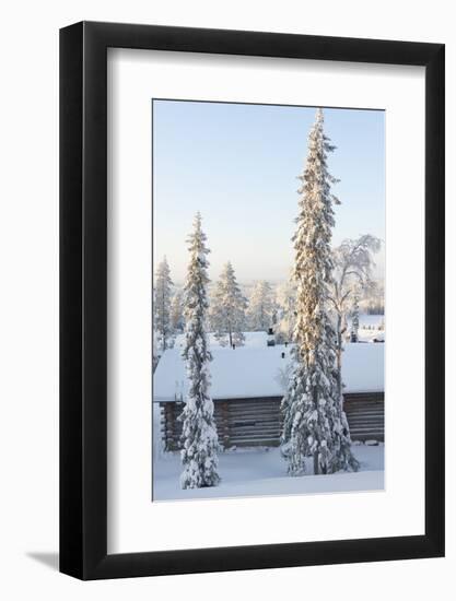 Snowy Log Cabin between Trees-Risto0-Framed Photographic Print