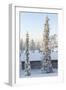 Snowy Log Cabin between Trees-Risto0-Framed Photographic Print