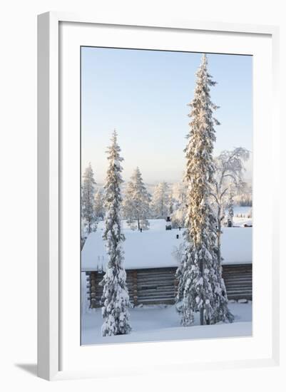 Snowy Log Cabin between Trees-Risto0-Framed Photographic Print