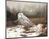 Snowy Mist-Russell Cobane-Mounted Art Print