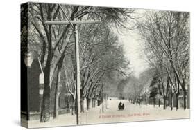 Snowy Morning, Red Wing, Minnesota-null-Stretched Canvas