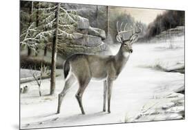 Snowy Mornings-Ruane Manning-Mounted Art Print