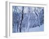 Snowy Mountain-WizData-Framed Photographic Print