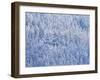 Snowy Mountain-WizData-Framed Photographic Print
