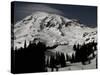 Snowy Mt. Rainer, Washington, USA-Michael Brown-Stretched Canvas
