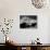 Snowy Mt. Rainer, Washington, USA-Michael Brown-Photographic Print displayed on a wall