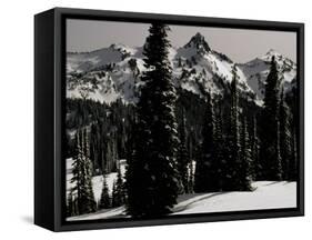 Snowy Mt. Rainer with Trees, Washington, USA-Michael Brown-Framed Stretched Canvas