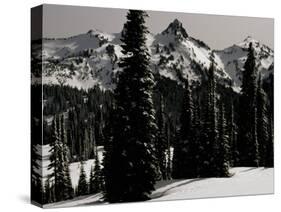 Snowy Mt. Rainer with Trees, Washington, USA-Michael Brown-Stretched Canvas