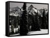 Snowy Mt. Rainer with Trees, Washington, USA-Michael Brown-Framed Stretched Canvas