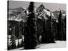 Snowy Mt. Rainer with Trees, Washington, USA-Michael Brown-Stretched Canvas