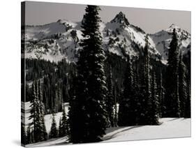 Snowy Mt. Rainer with Trees, Washington, USA-Michael Brown-Stretched Canvas