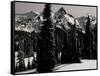 Snowy Mt. Rainer with Trees, Washington, USA-Michael Brown-Framed Stretched Canvas