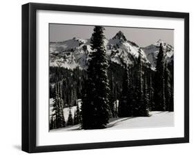 Snowy Mt. Rainer with Trees, Washington, USA-Michael Brown-Framed Premium Photographic Print