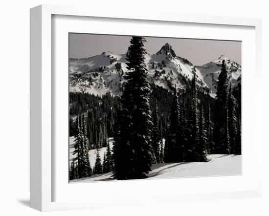 Snowy Mt. Rainer with Trees, Washington, USA-Michael Brown-Framed Premium Photographic Print