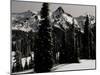 Snowy Mt. Rainer with Trees, Washington, USA-Michael Brown-Mounted Premium Photographic Print