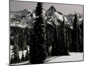 Snowy Mt. Rainer with Trees, Washington, USA-Michael Brown-Mounted Premium Photographic Print