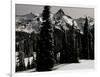 Snowy Mt. Rainer with Trees, Washington, USA-Michael Brown-Framed Premium Photographic Print