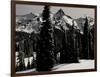 Snowy Mt. Rainer with Trees, Washington, USA-Michael Brown-Framed Premium Photographic Print