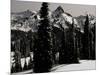 Snowy Mt. Rainer with Trees, Washington, USA-Michael Brown-Mounted Premium Photographic Print