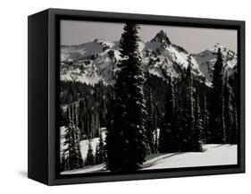 Snowy Mt. Rainer with Trees, Washington, USA-Michael Brown-Framed Stretched Canvas