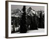 Snowy Mt. Rainer with Trees, Washington, USA-Michael Brown-Framed Photographic Print