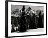 Snowy Mt. Rainer with Trees, Washington, USA-Michael Brown-Framed Photographic Print