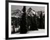 Snowy Mt. Rainer with Trees, Washington, USA-Michael Brown-Framed Photographic Print