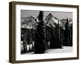 Snowy Mt. Rainer with Trees, Washington, USA-Michael Brown-Framed Photographic Print