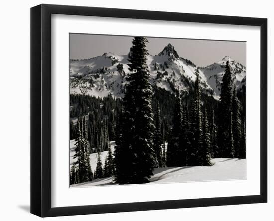 Snowy Mt. Rainer with Trees, Washington, USA-Michael Brown-Framed Photographic Print