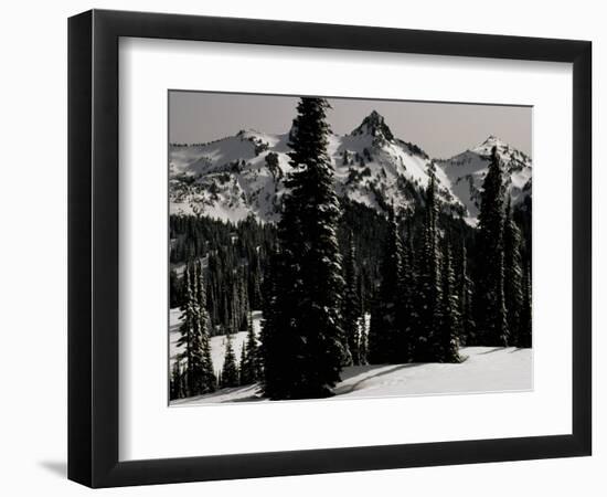 Snowy Mt. Rainer with Trees, Washington, USA-Michael Brown-Framed Photographic Print