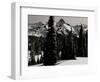 Snowy Mt. Rainer with Trees, Washington, USA-Michael Brown-Framed Photographic Print