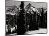 Snowy Mt. Rainer with Trees, Washington, USA-Michael Brown-Mounted Photographic Print