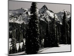 Snowy Mt. Rainer with Trees, Washington, USA-Michael Brown-Mounted Photographic Print