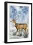 Snowy Night II-Melissa Wang-Framed Art Print