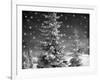 Snowy Night-Marcus Prime-Framed Photographic Print