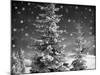 Snowy Night-Marcus Prime-Mounted Photographic Print