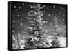 Snowy Night-Marcus Prime-Framed Stretched Canvas