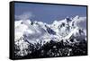 Snowy Olympic Mountains-Douglas Taylor-Framed Stretched Canvas