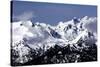 Snowy Olympic Mountains-Douglas Taylor-Stretched Canvas