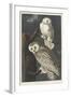 Snowy Owl, 1831-John James Audubon-Framed Giclee Print